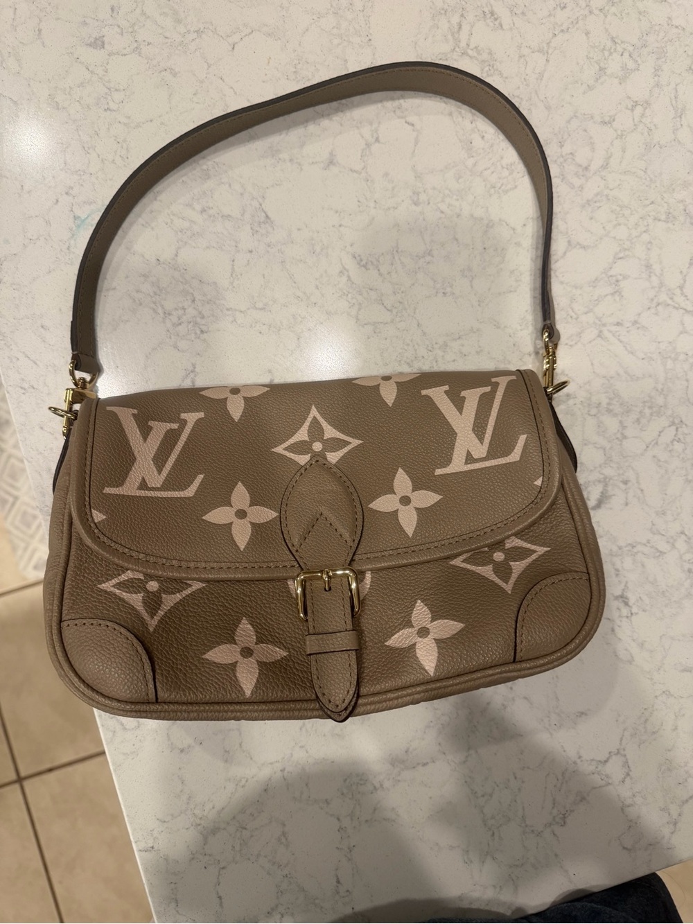 Louis Vuitton Diane with Monogram Shoulder Bag and crossbody